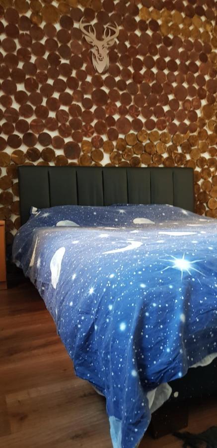 Apartment Straja Lupeni  Экстерьер фото